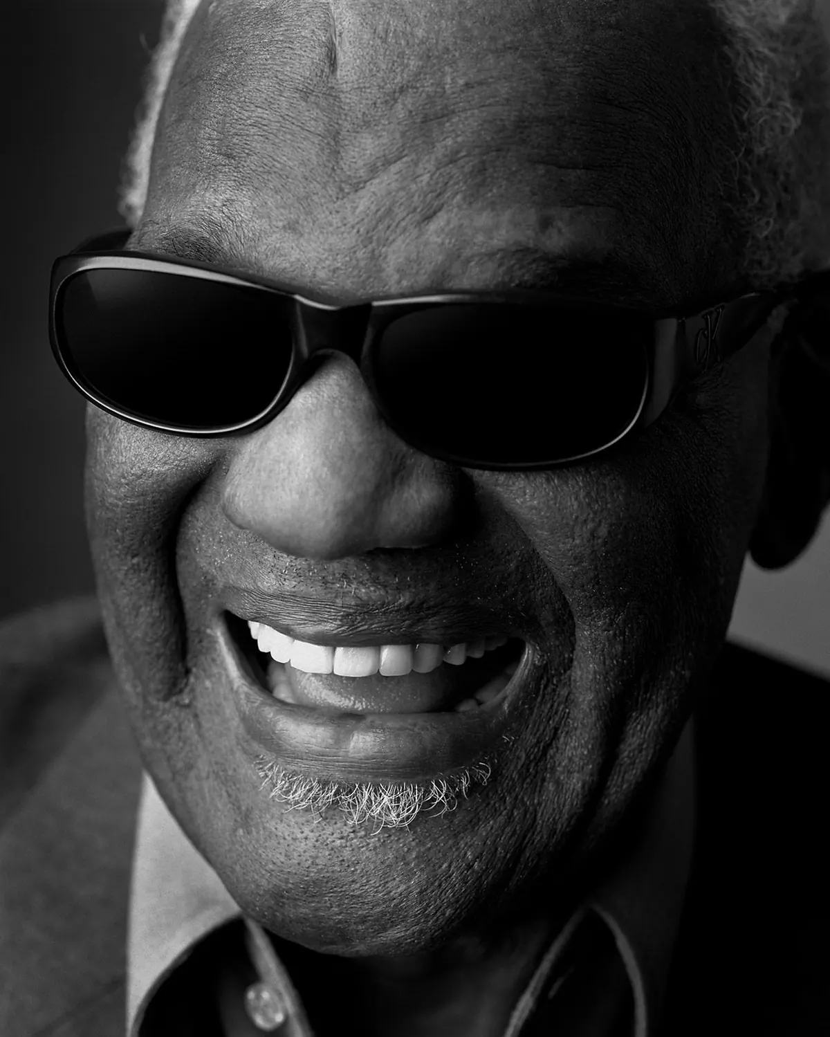 Ray Charles, Portrait Series