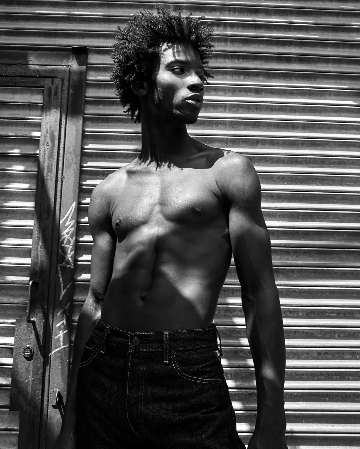 ADONIS BOSSO, NEW YORK